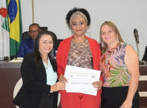 Plenrio da Cmara de Vereadores | Assessoria