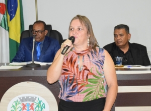 Plenrio da Cmara de Vereadores | Assessoria