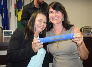 Plenrio da Cmara de Vereadores | Assessoria